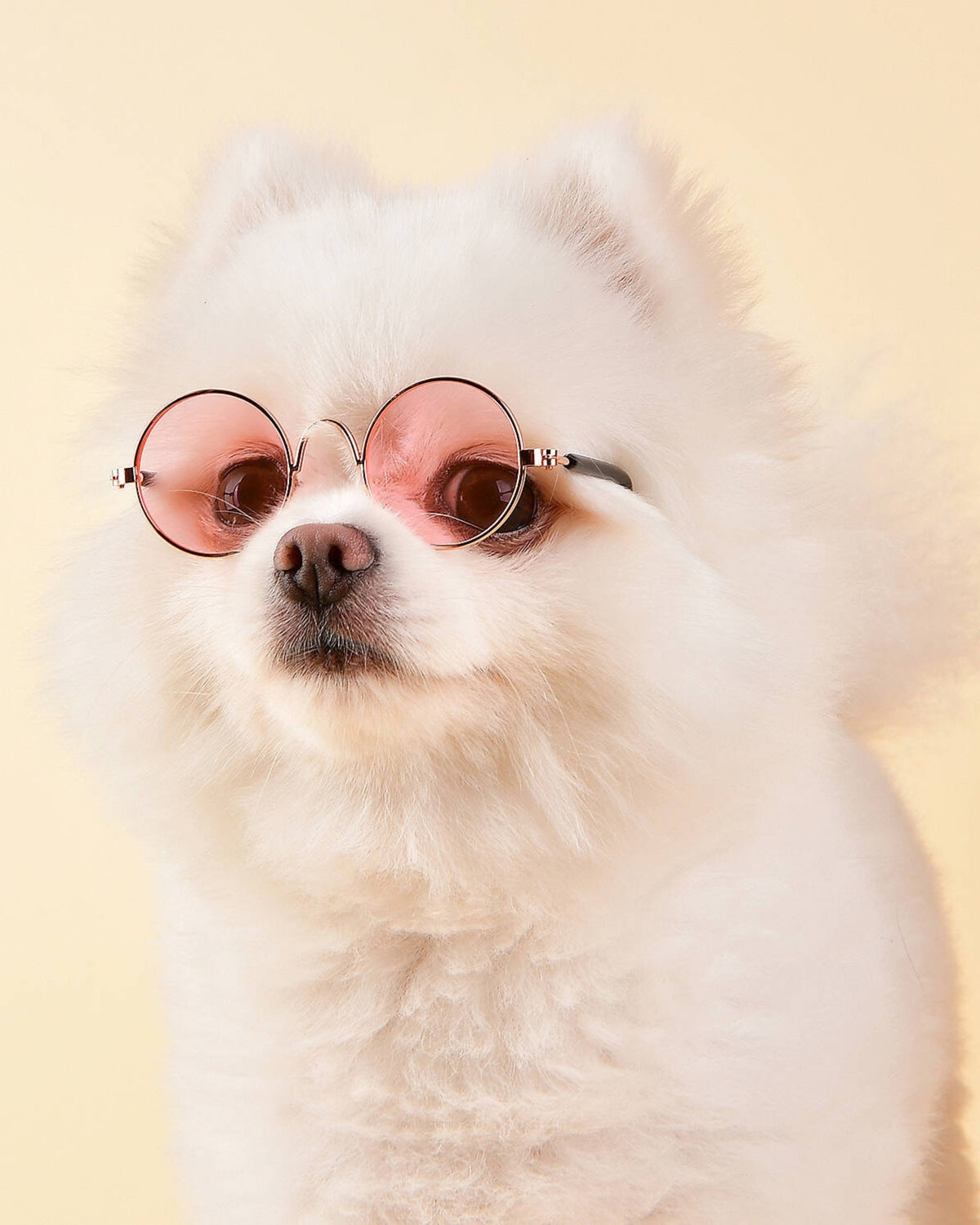 Yuvarlak Çerçeveli Retro Pembe Köpek Gözlüğü Olchi Glasses