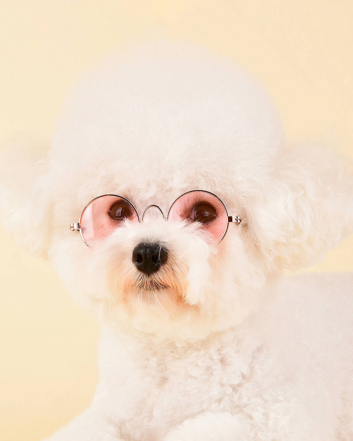 Yuvarlak Çerçeveli Retro Pembe Köpek Gözlüğü Olchi Glasses