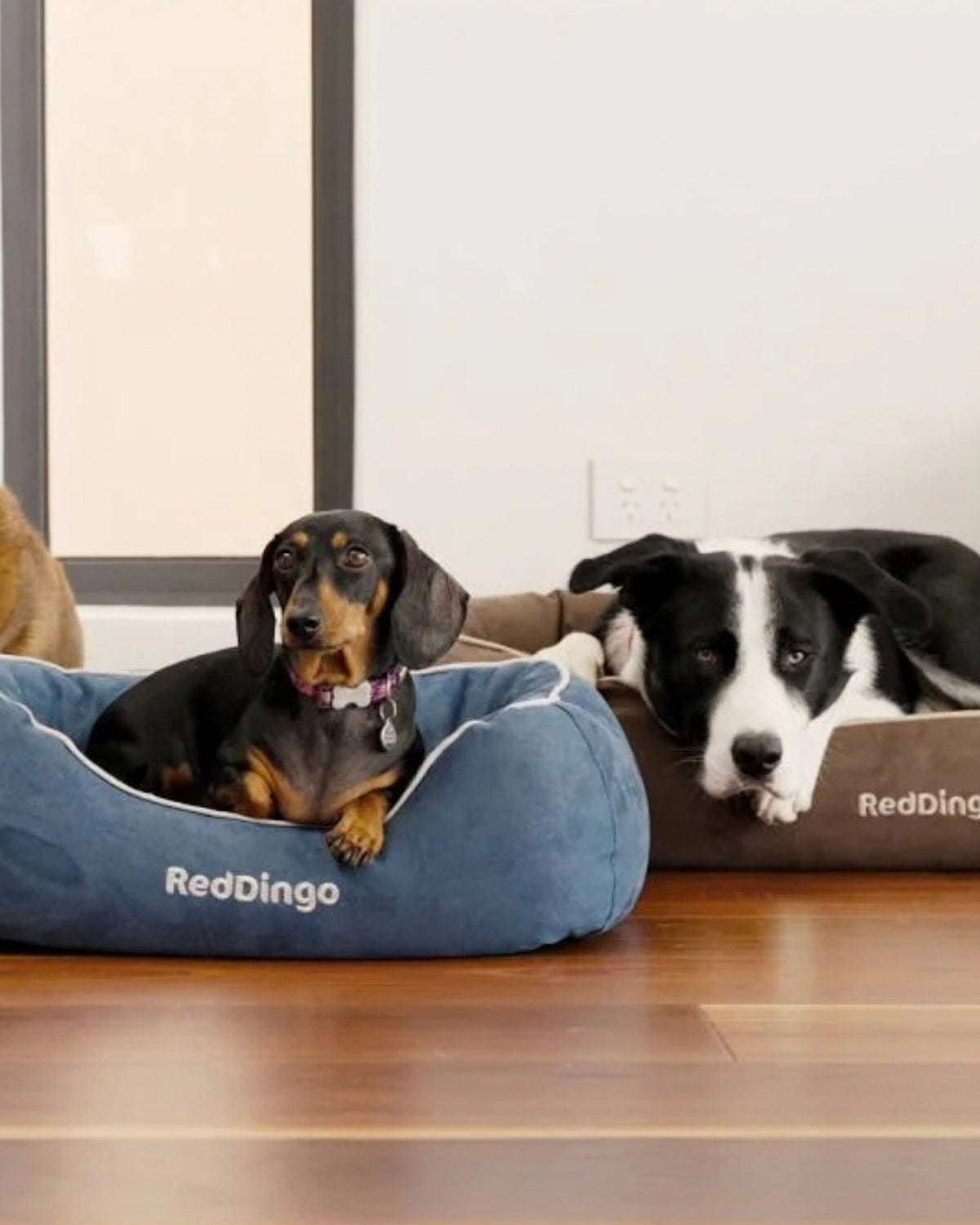 Yuvarlak Kenarlı Köpek Yatağı Red Dingo Premium Donut Bed