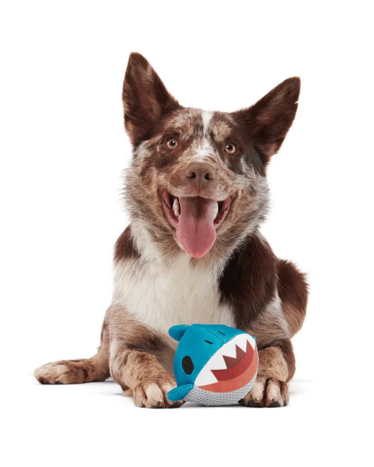 Yüzen Köpek Balığı Figürlü Getirme Oyuncağı BARK Great White Dwight