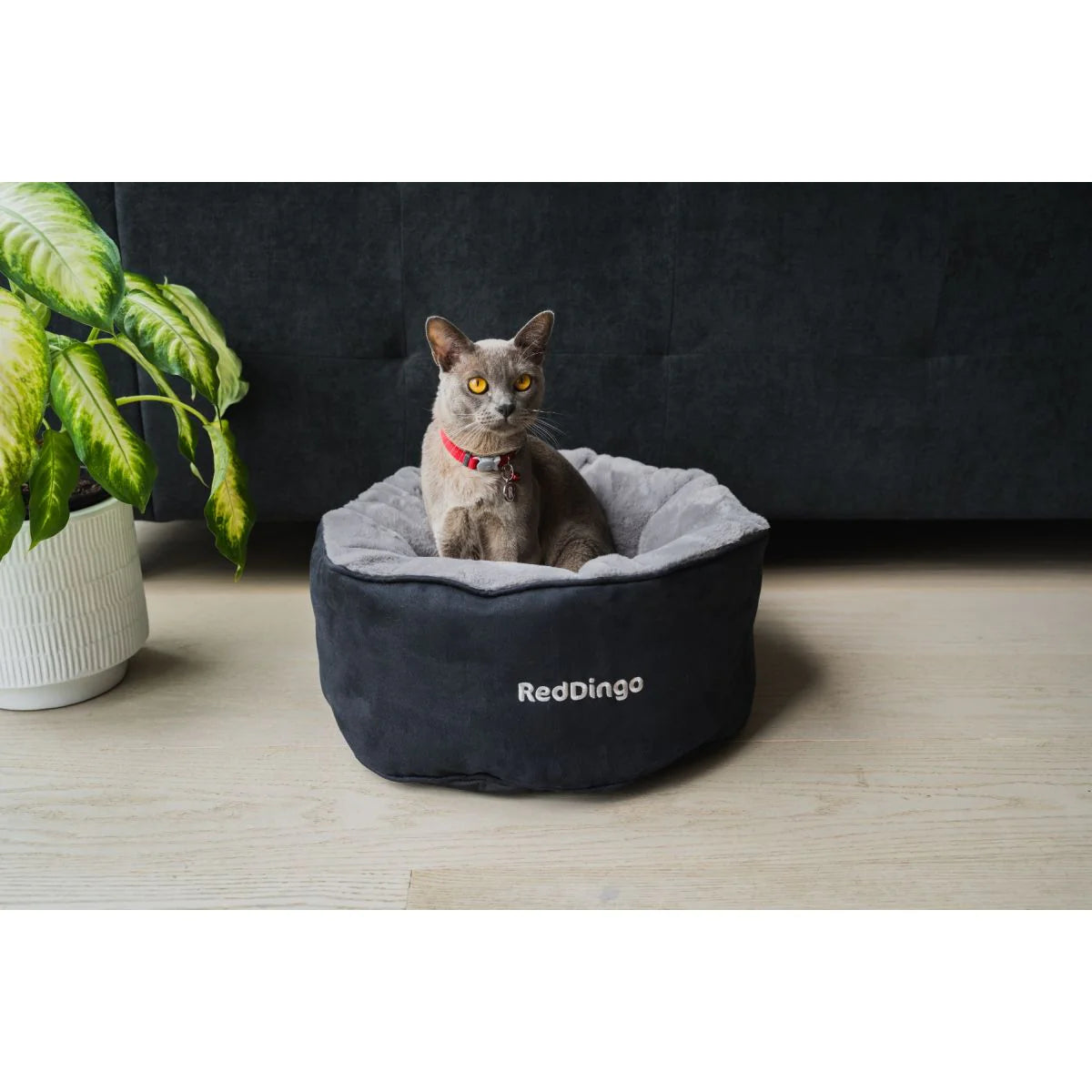 Red Dingo Premium Kedi Yatağı image 3