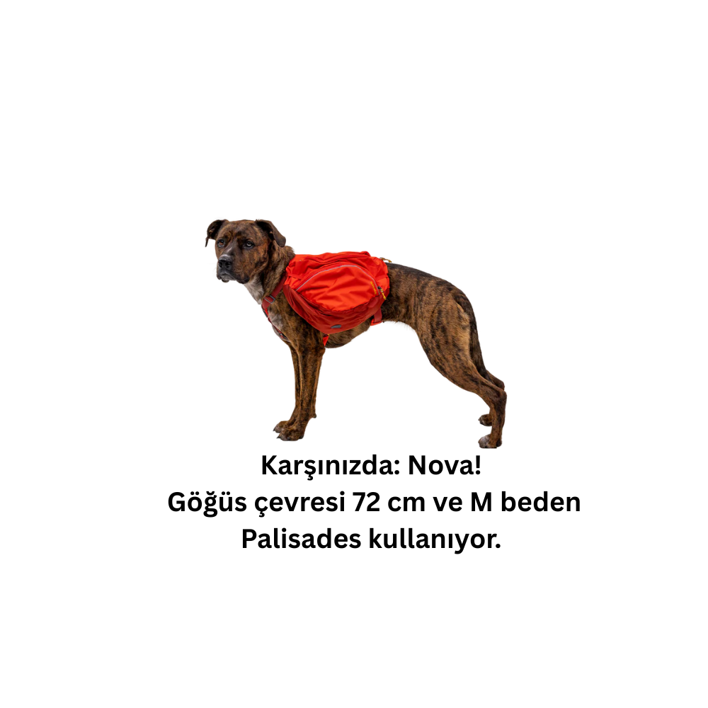 Ruffwear Palisades™ Köpek Sırt Çantası image 9