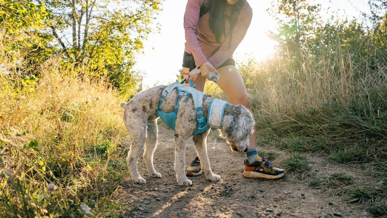 Ruffwear Swamp Soğutucu Göğüs Tasması image 7