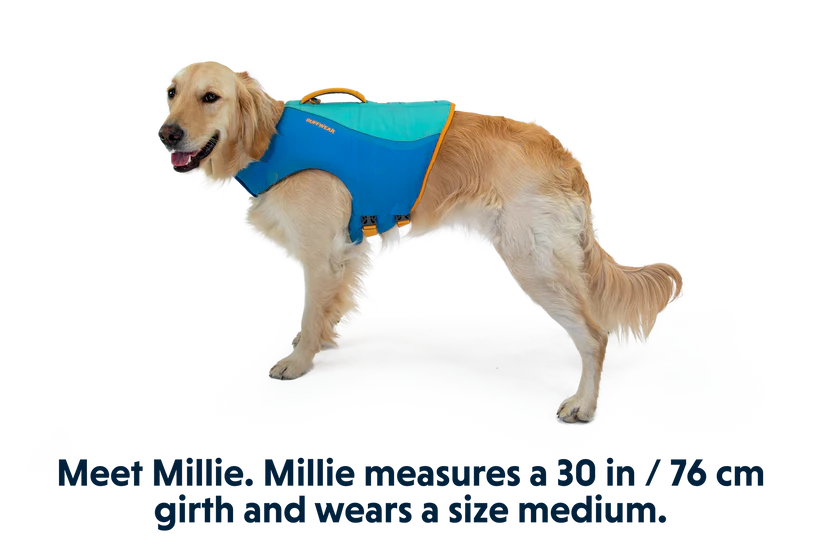 Ruffwear Köpek Can Yeleği image 4