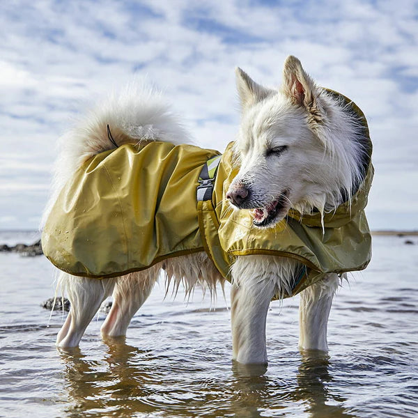 Hurtta Mudventure Reflektör Köpek Montu image 6