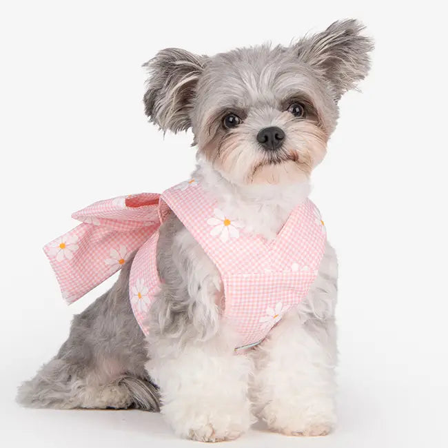 Olchi Candy Ribbon Göğüs Tasması image 6