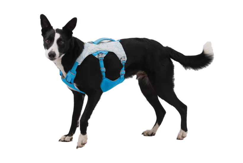 Ruffwear Swamp Soğutucu Göğüs Tasması image 5
