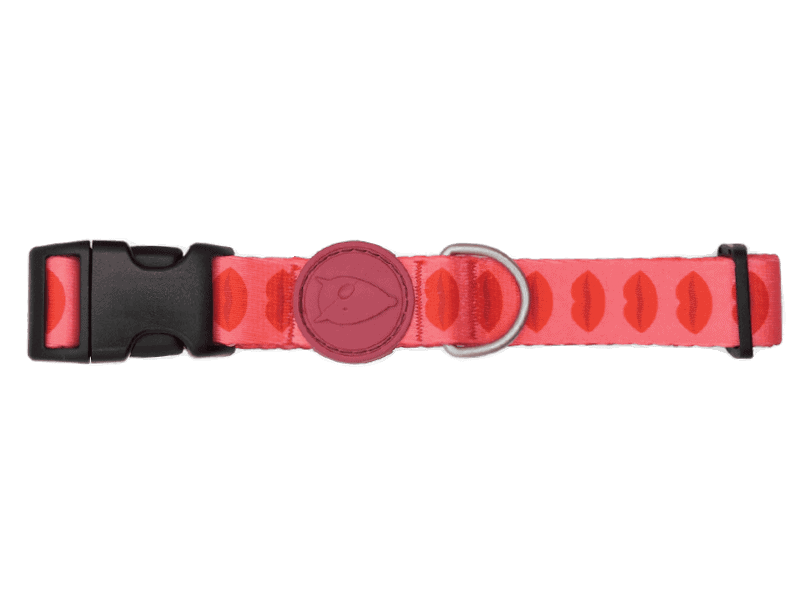 Lipstick Boyun Tasması Morso v2 image 3