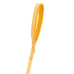 Seeker Standard Leash