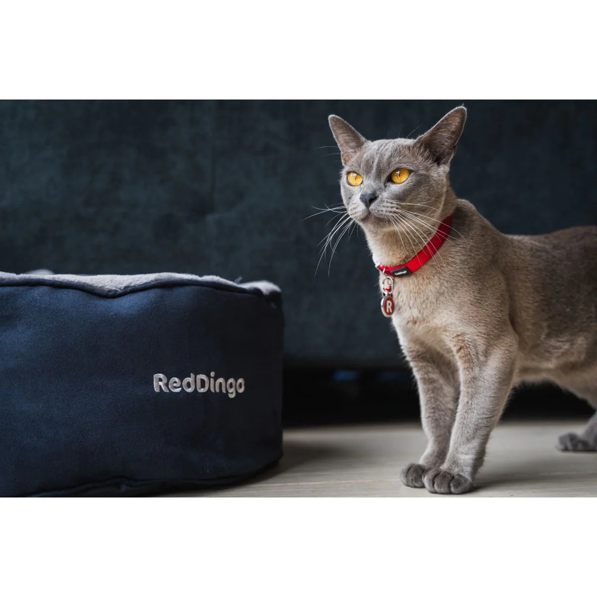 Red Dingo Premium Kedi Yatağı image 1
