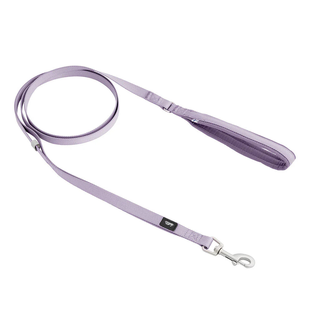 Seeker Standard Leash