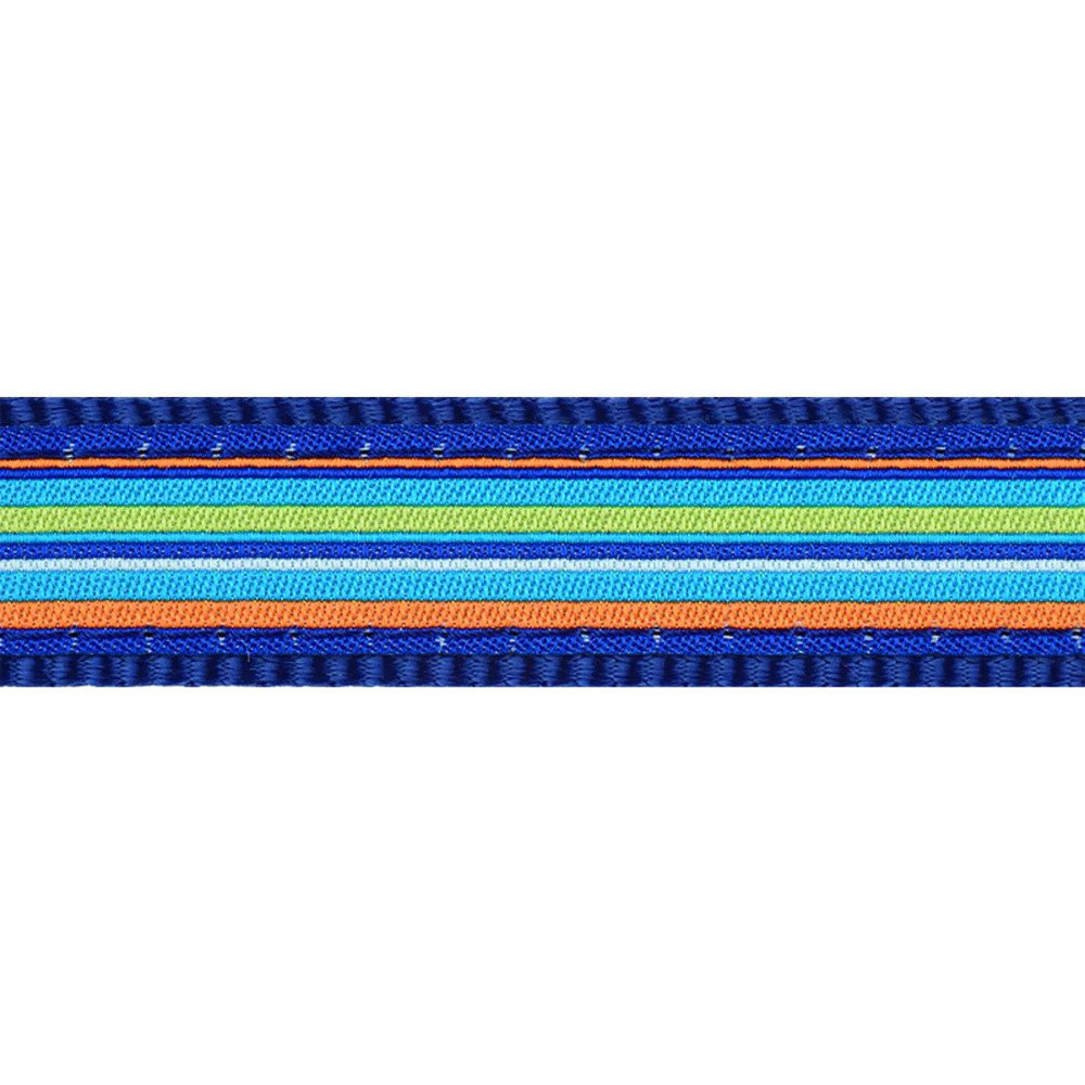 Red Dingo Horizontal Stripes Mavi Köpek Boyun Tasması image 1