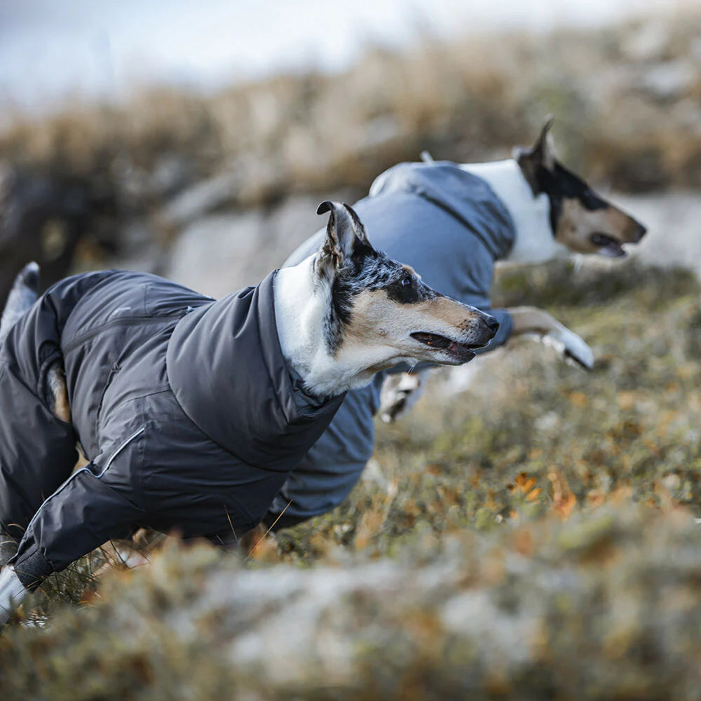 Hurtta Extreme Overall Köpek Tulumu image 3