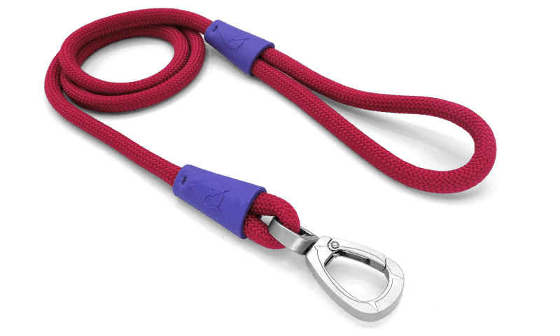Rope (Halat) Regular Touch Gezdirme İpi Gold image 4