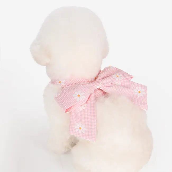 Olchi Candy Ribbon Göğüs Tasması image 3
