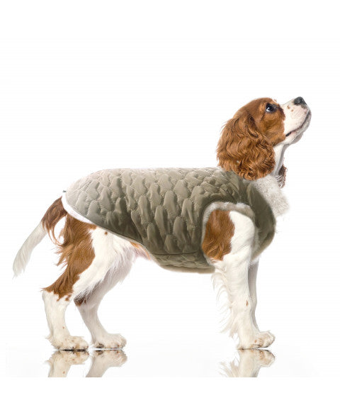 Milk&Pepper Candice Çift Taraflı Şişme Köpek Montu image 3