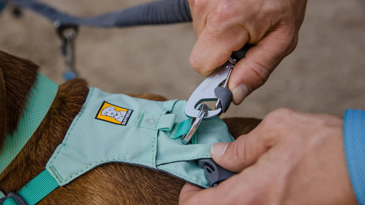 Ruffwear Double Track Dog Lead Coupler Kayış Ucu Çoğaltıcı image 5