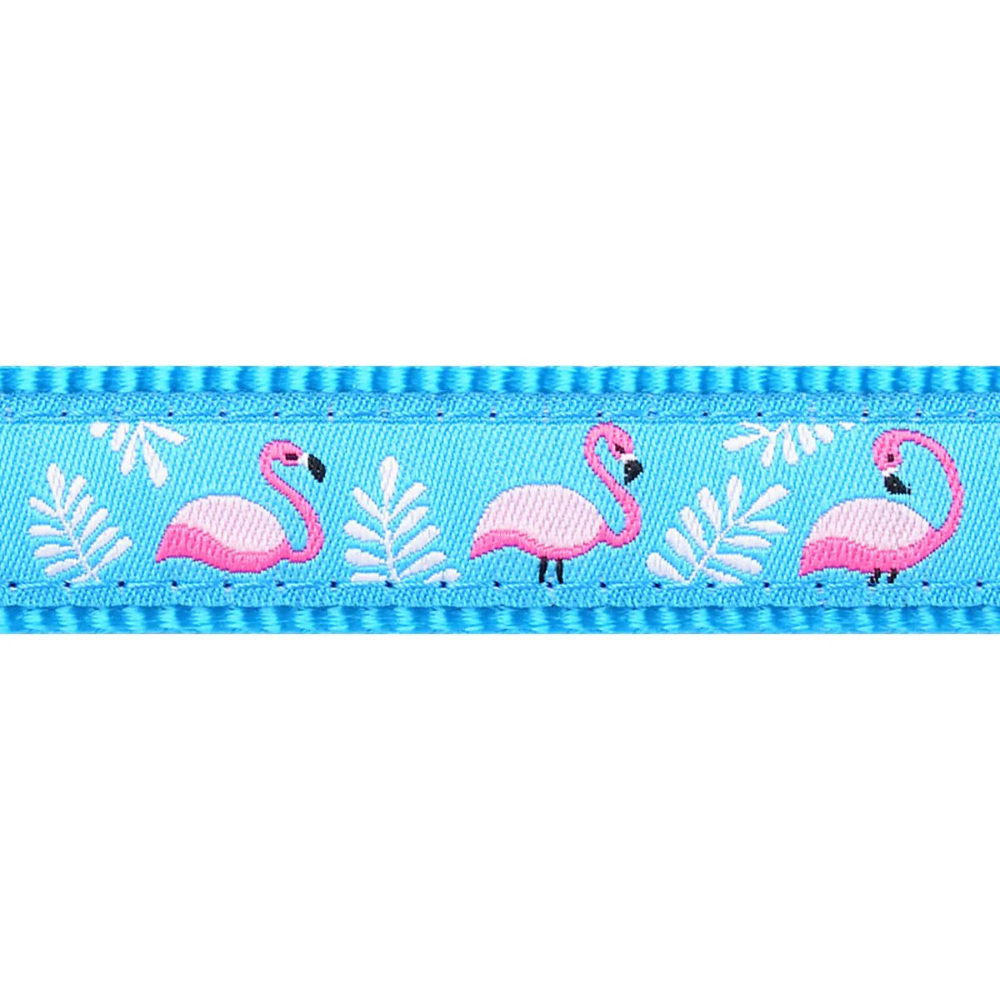 Red Dingo Flamingo Turkuaz Köpek Boyun Tasması image 1