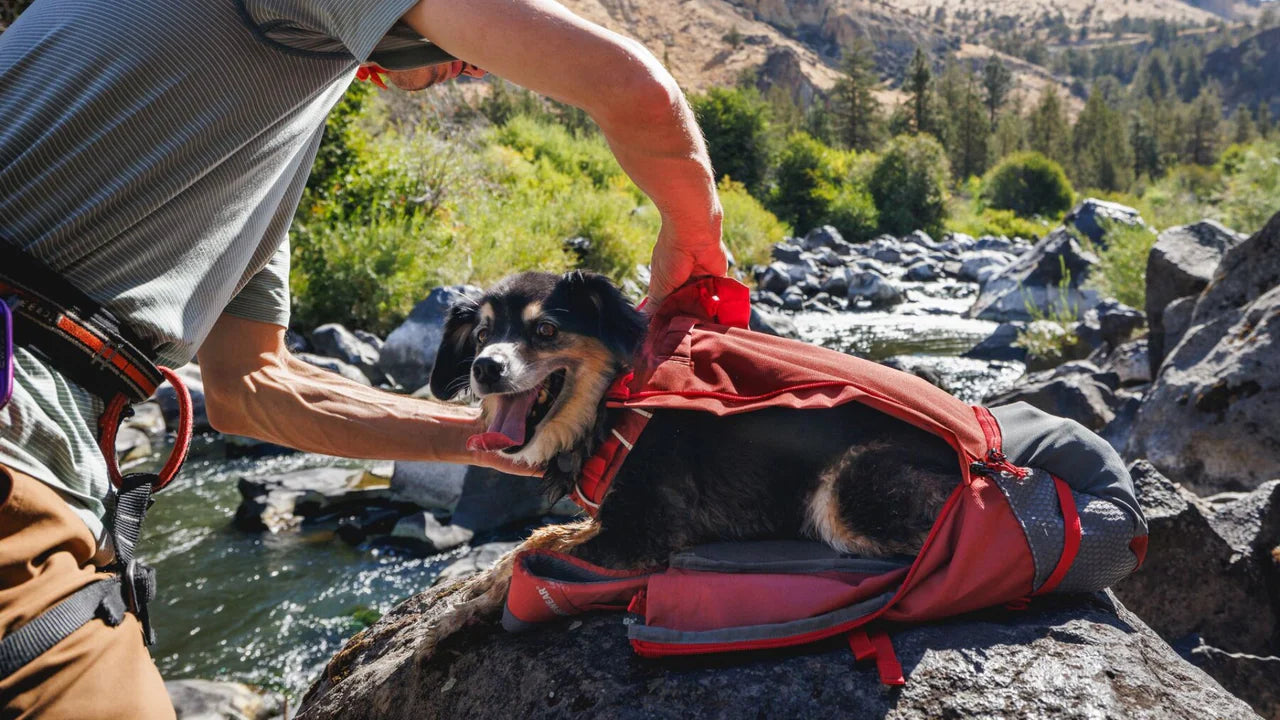 Ruffwear Hitch Hiker™ Köpek Taşıma Sırt Çantası image 10