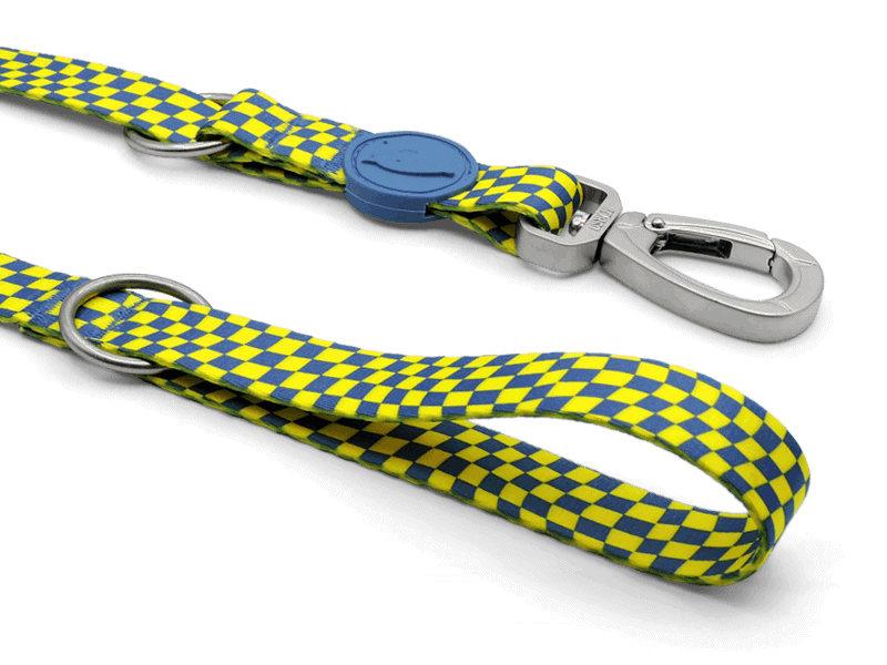 Race Çok İşlevli Gezdirme İpi image 1