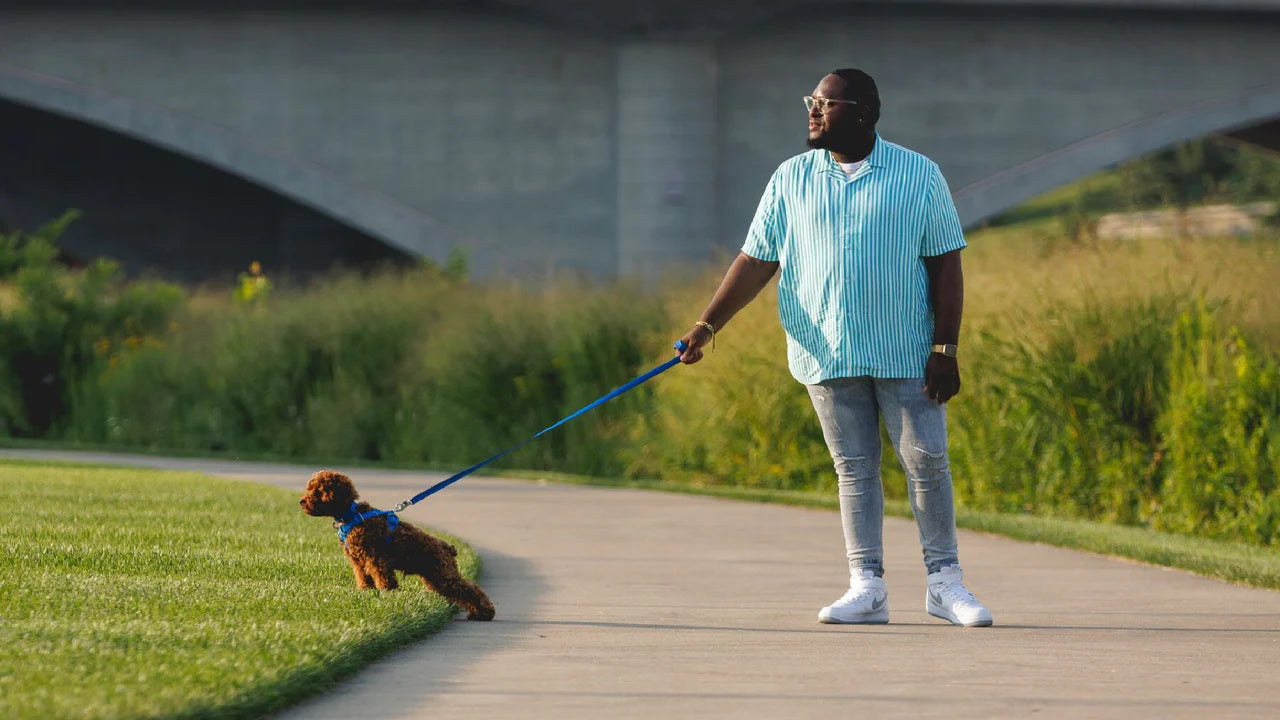 Ruffwear Front Range Köpek Gezdirme Kayışı image 3