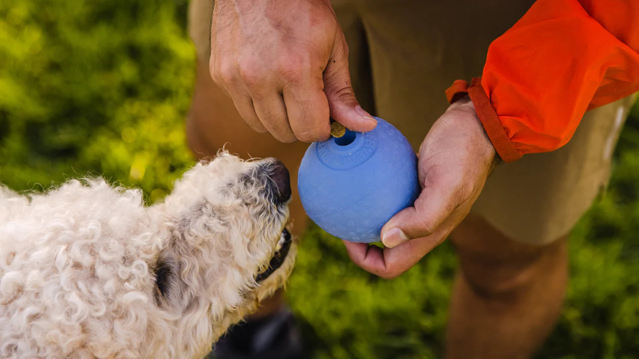 Ruffwear Huckama Köpek Oyuncağı image 5