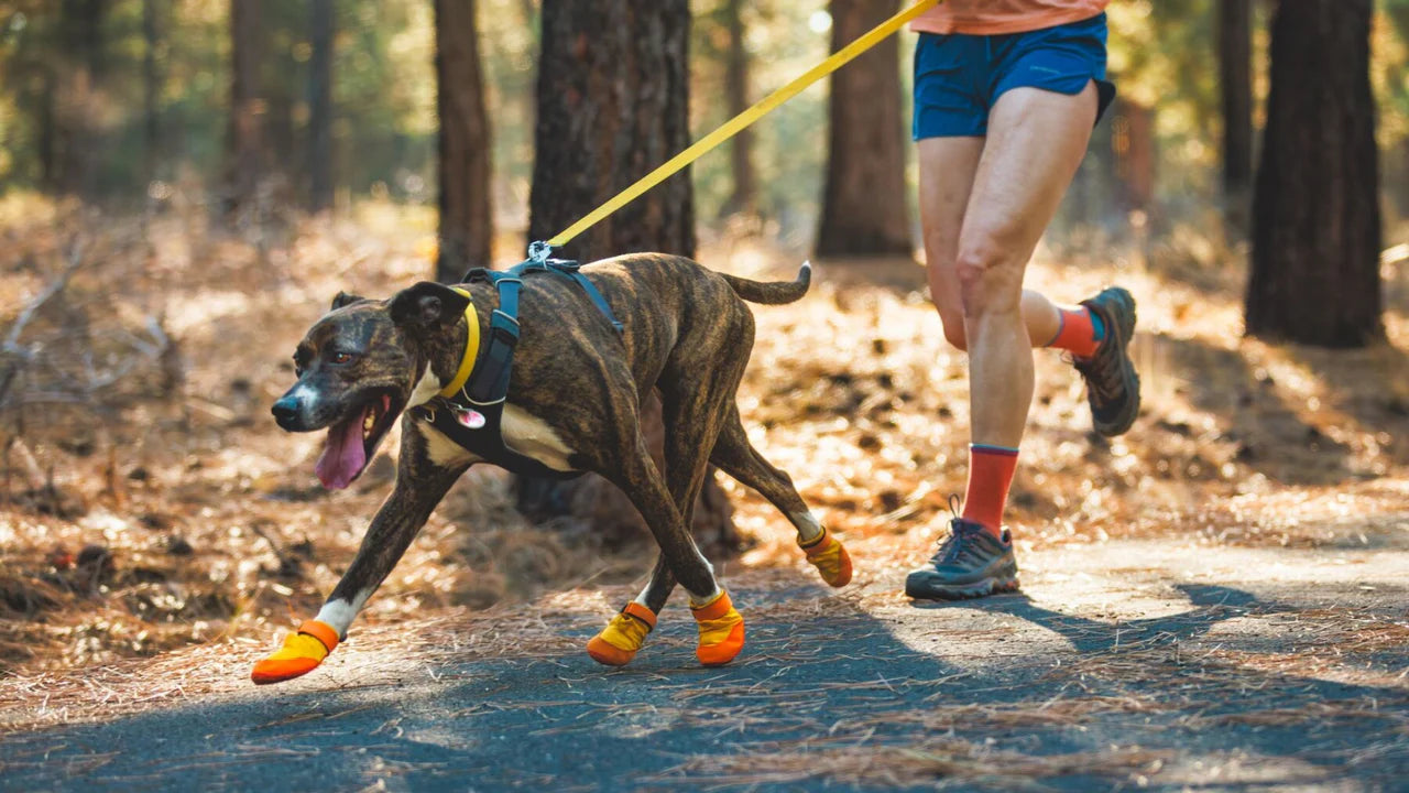Ruffwear Summit Trex™ Köpek Ayakkabısı image 1
