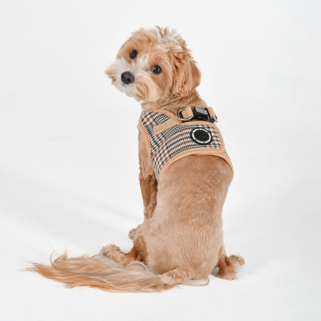 Puppia Lucas Göğüs Tasması image 4