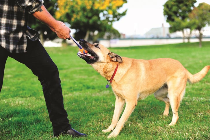 Chuckit! Air Fetch Ball Köpek Oyun Topu (XL Boy) image 2