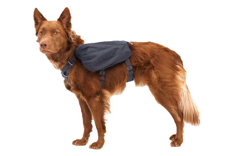 Ruffwear Front Range™ Day Pack Köpek Sırt Çantası image 1