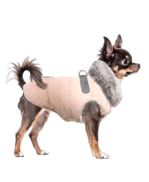 Milk & Pepper Faustine Tasma Halkalı Köpek Montu image 1