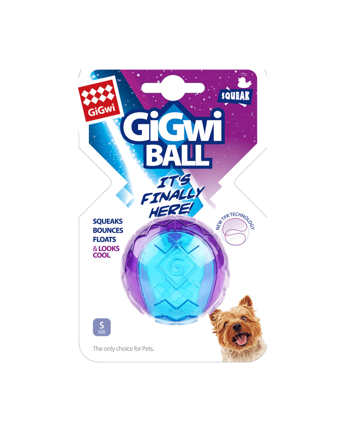 Sesli ve Suda Batmayan Dayanıklı TPR Köpek Topu Gigwi Ball S Mor/Mavi