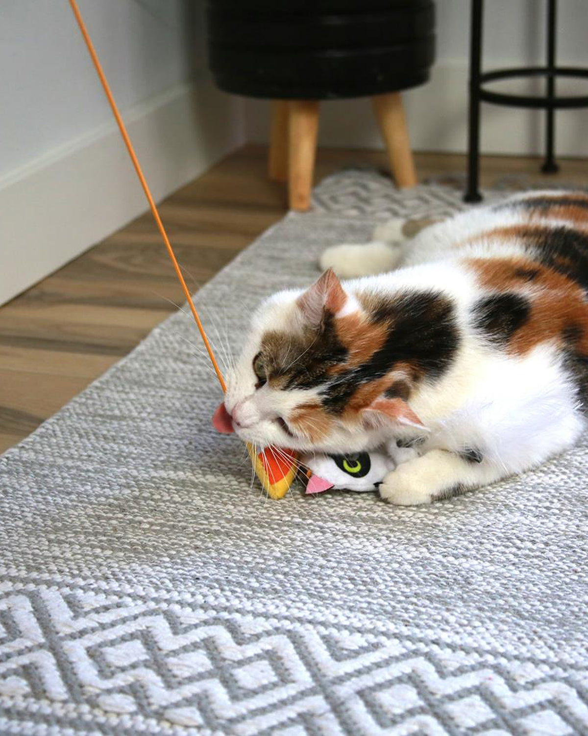 Cadılar Bayramı Temalı Kedi Nanesi ve Matatabili Hayalet Figürlü Kedi Oltası Mad Cat Hiss & Haunt