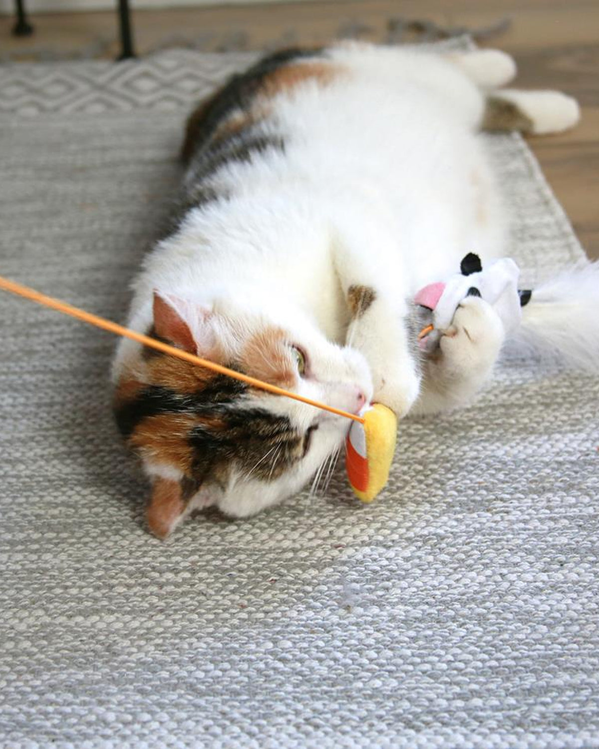 Cadılar Bayramı Temalı Kedi Nanesi ve Matatabili Hayalet Figürlü Kedi Oltası Mad Cat Hiss & Haunt