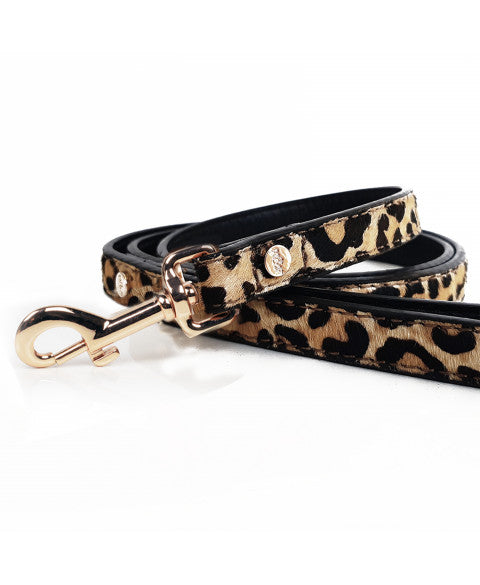 Milk & Pepper Leopard Gezdirme Kayışı