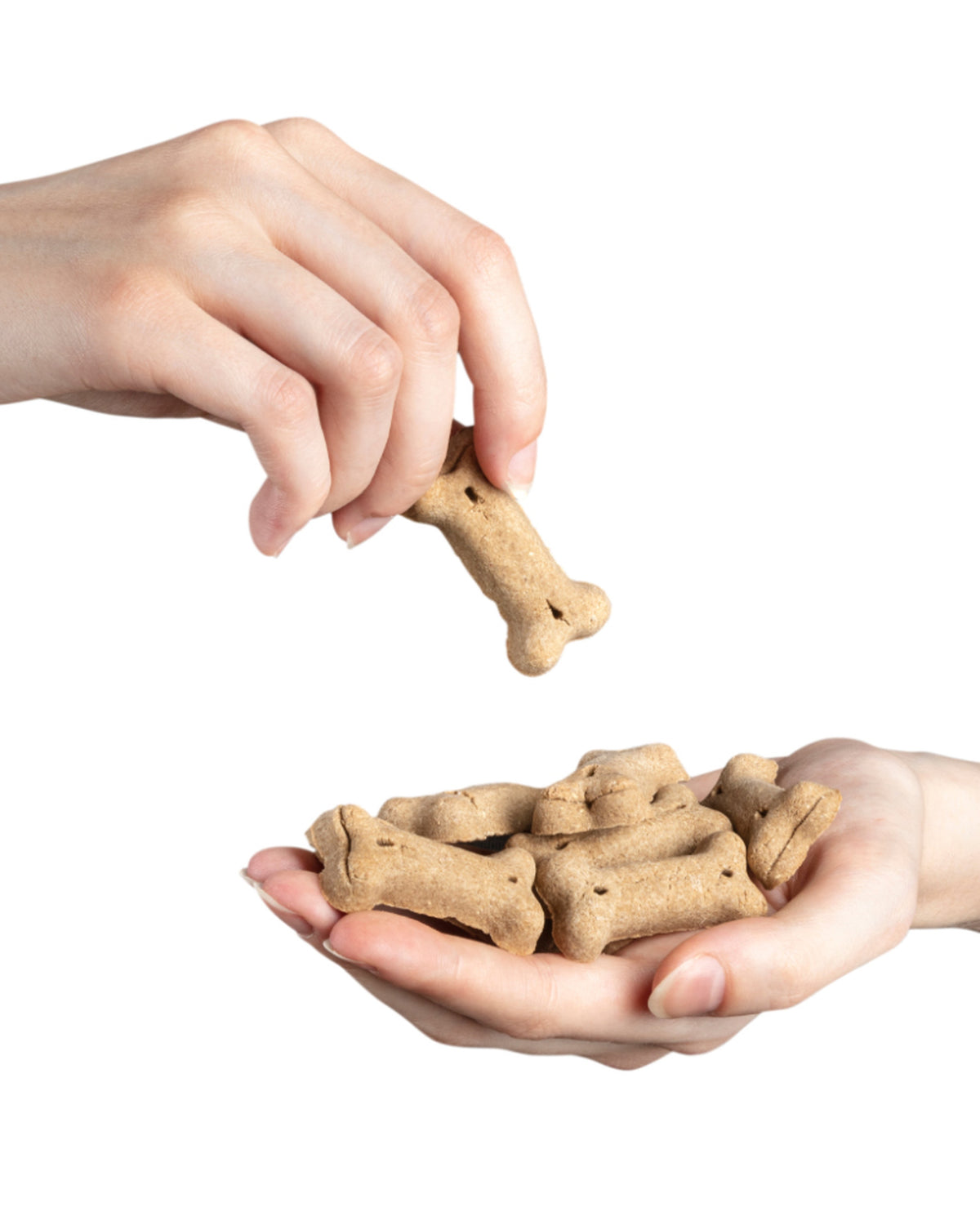 Mera Pure Sensitive Goody Snacks Insect Protein