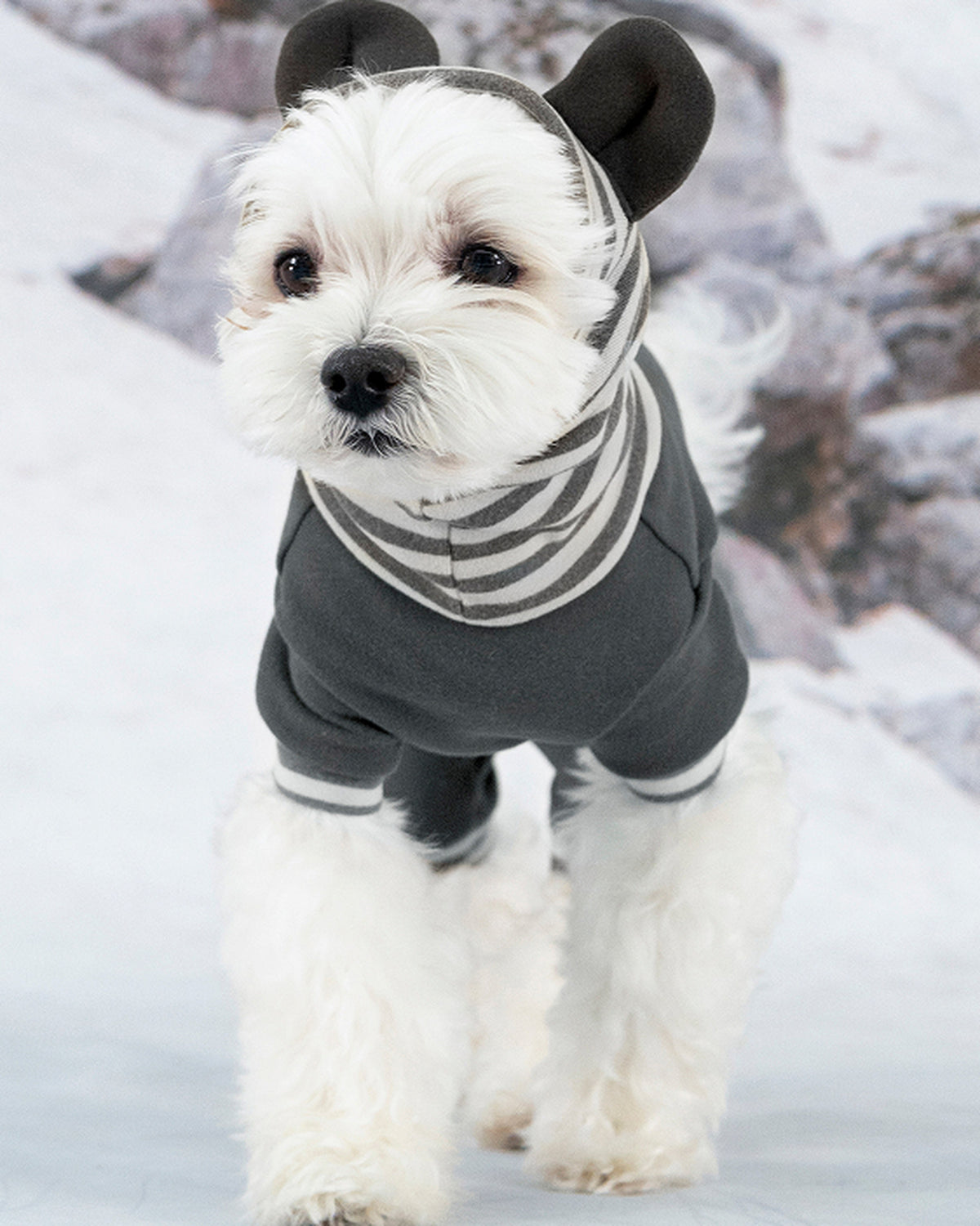 Kulaklı Kapüşonlu Çizgili Boğazlı Köpek Tulumu Olchi Ears Hoodie Coverall Gri