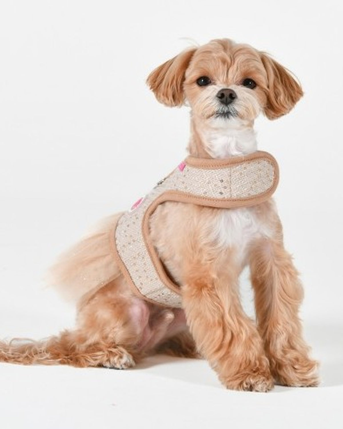 Payetli Tül Etekli Elbise Tipi Köpek Göğüs Tasması Pinkaholic Milena Dress Harness Bej