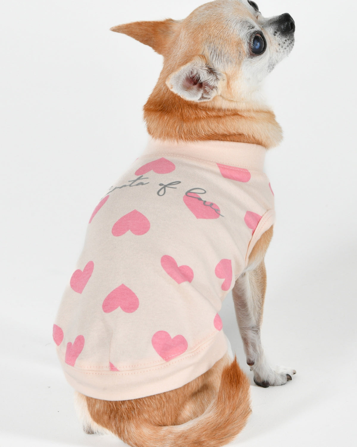 Kalp Desenli Kolsuz Pamuklu Köpek Tişörtü Pinkaholic Sonata of Love Açık Pembe