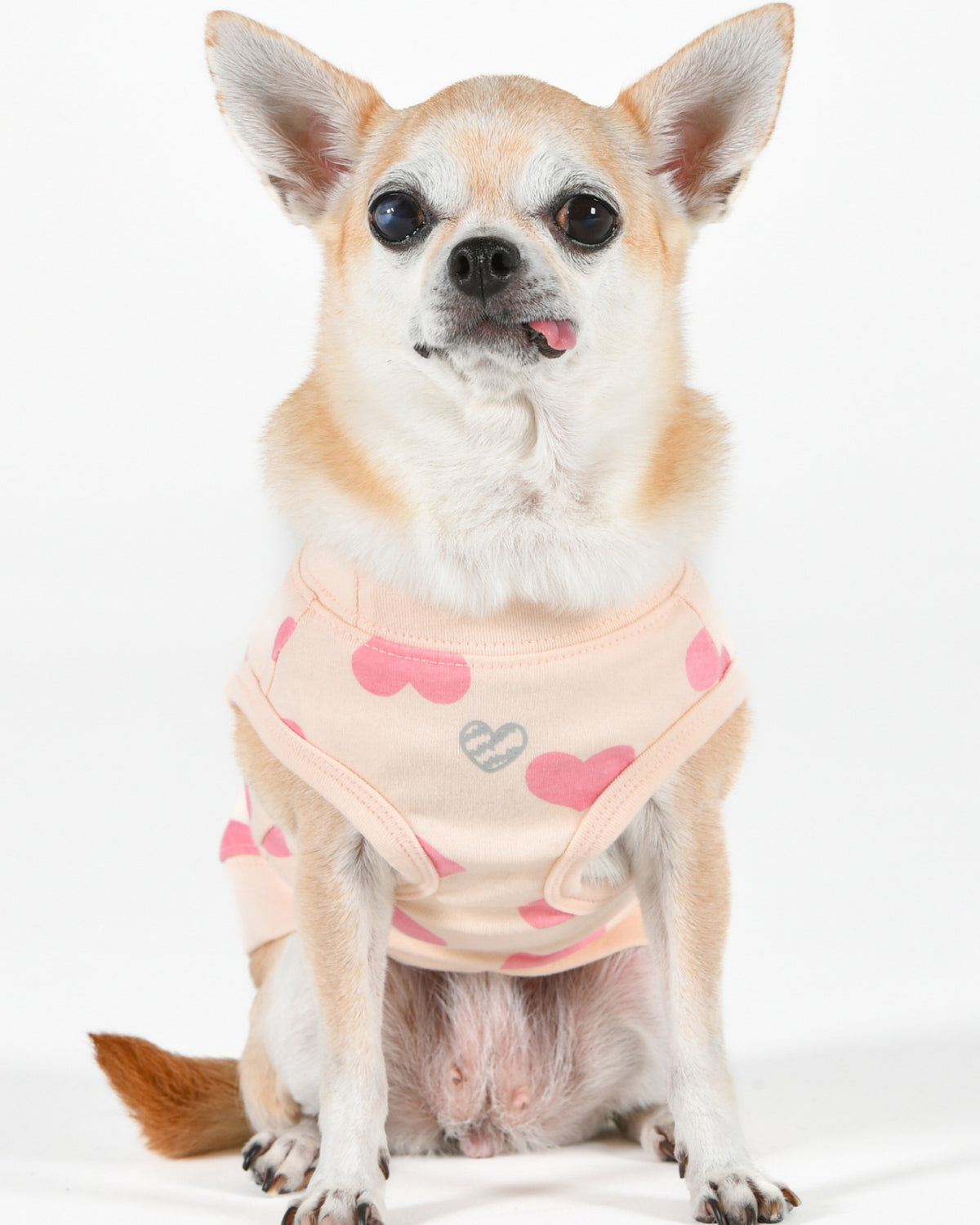Kalp Desenli Kolsuz Pamuklu Köpek Tişörtü Pinkaholic Sonata of Love Açık Pembe
