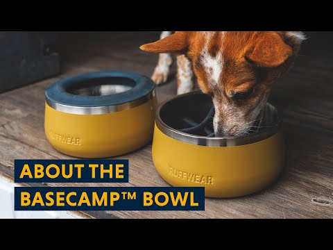 Basecamp Bowl tanıtım videosu