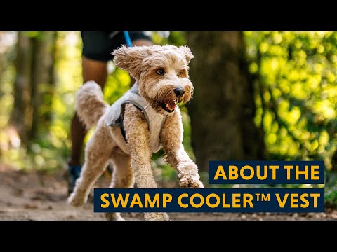 Swamp Cooler Serinletici Yelek tanıtım videosu