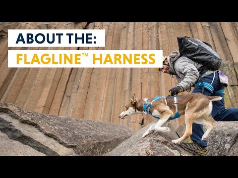 Ruffwear Flagline Göğüs Tasması tanıtım videosu