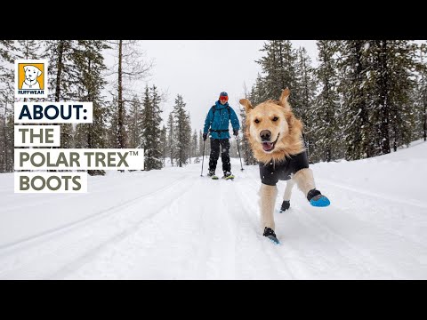 Ruffwear Polar Trex tanıtım videosu