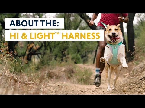 Ruffwear Hi and Light tanıtım videosu