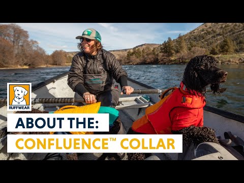 Confluence Collar tanıtım videosu