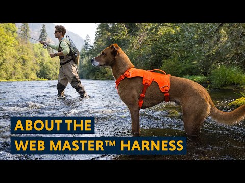 Ruffwear Web Master tanıtım videosu