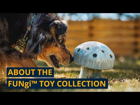 Ruffwear Toadstool tanıtım videosu