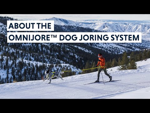 Ruffwear Omnijore joring sistemi tanıtım videosu